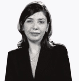 Prof. Dr. Nicoleta Silvia Ioana — Managing Director
